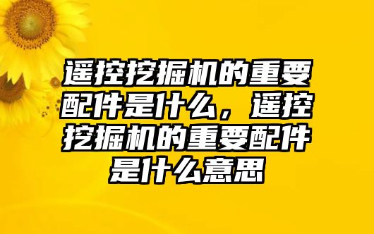 遙控挖掘機的重要配件是什么，遙控挖掘機的重要配件是什么意思