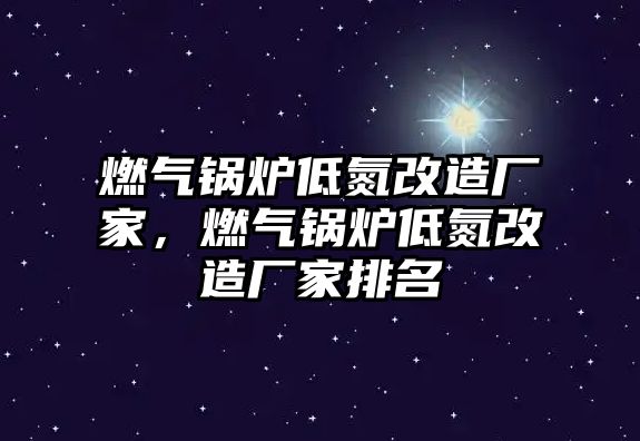 燃?xì)忮仩t低氮改造廠家，燃?xì)忮仩t低氮改造廠家排名