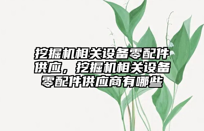 挖掘機相關設備零配件供應，挖掘機相關設備零配件供應商有哪些