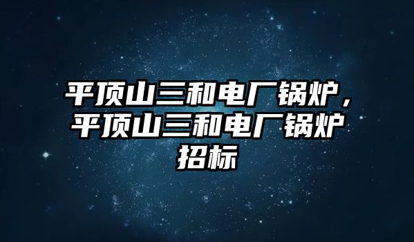 平頂山三和電廠鍋爐，平頂山三和電廠鍋爐招標