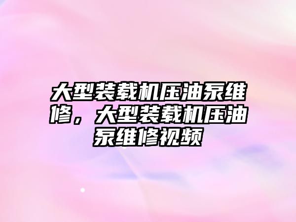 大型裝載機(jī)壓油泵維修，大型裝載機(jī)壓油泵維修視頻