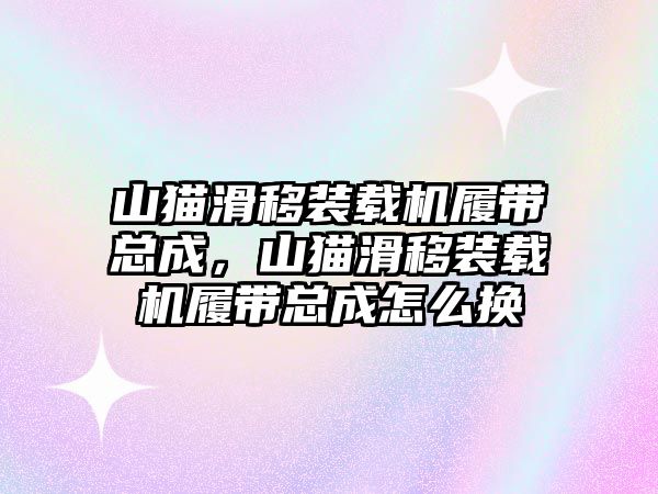 山貓滑移裝載機履帶總成，山貓滑移裝載機履帶總成怎么換