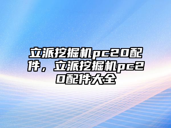 立派挖掘機(jī)pc20配件，立派挖掘機(jī)pc20配件大全