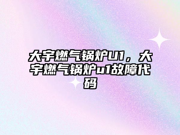 大宇燃?xì)忮仩tU1，大宇燃?xì)忮仩tu1故障代碼