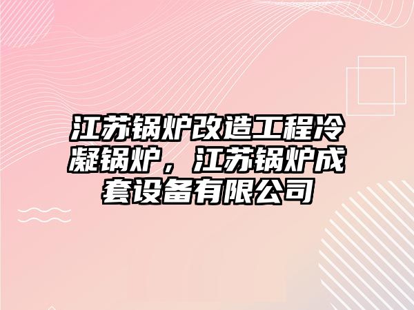 江蘇鍋爐改造工程冷凝鍋爐，江蘇鍋爐成套設(shè)備有限公司