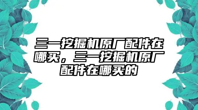 三一挖掘機原廠配件在哪買，三一挖掘機原廠配件在哪買的