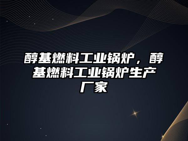 醇基燃料工業(yè)鍋爐，醇基燃料工業(yè)鍋爐生產(chǎn)廠家