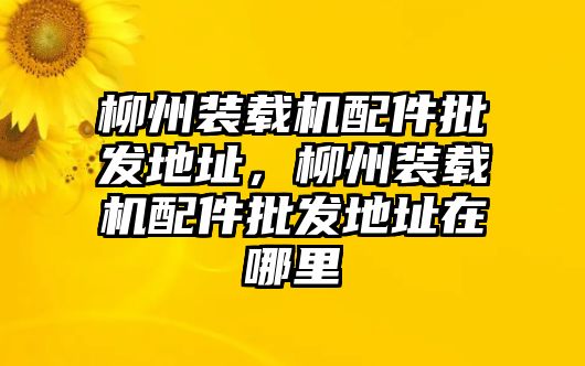 柳州裝載機配件批發(fā)地址，柳州裝載機配件批發(fā)地址在哪里