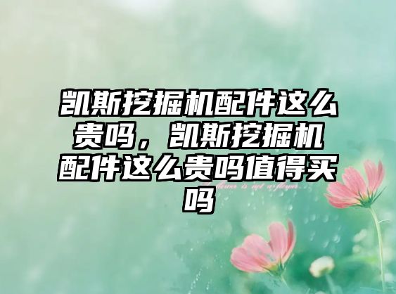 凱斯挖掘機配件這么貴嗎，凱斯挖掘機配件這么貴嗎值得買嗎