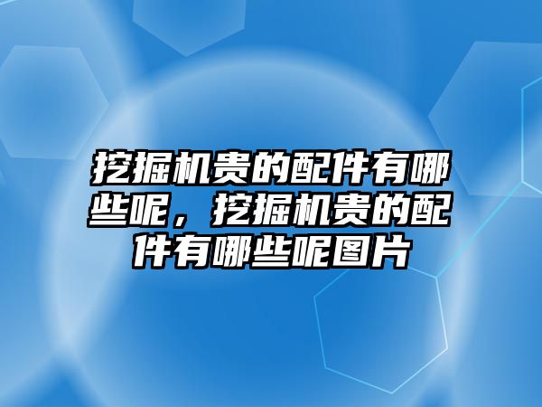 挖掘機貴的配件有哪些呢，挖掘機貴的配件有哪些呢圖片