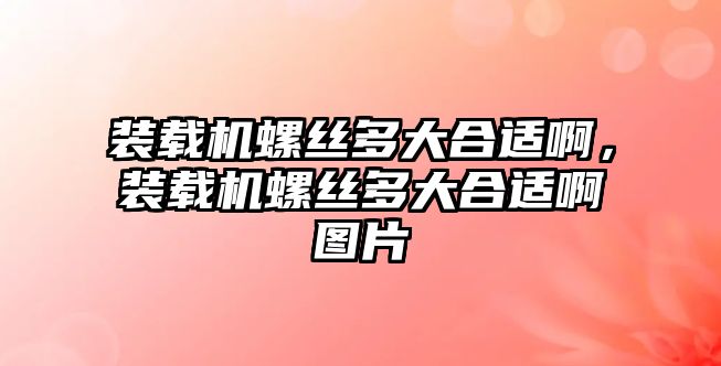 裝載機螺絲多大合適啊，裝載機螺絲多大合適啊圖片