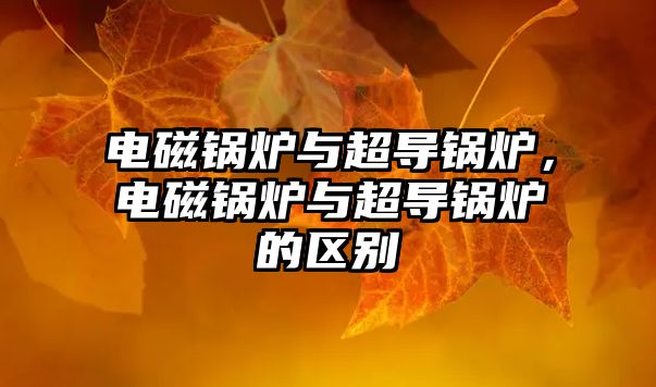 電磁鍋爐與超導(dǎo)鍋爐，電磁鍋爐與超導(dǎo)鍋爐的區(qū)別