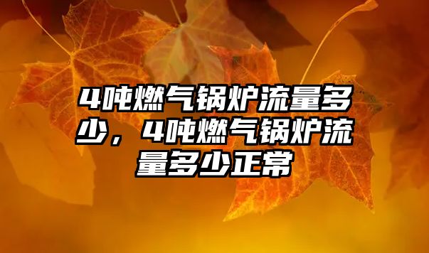 4噸燃?xì)忮仩t流量多少，4噸燃?xì)忮仩t流量多少正常