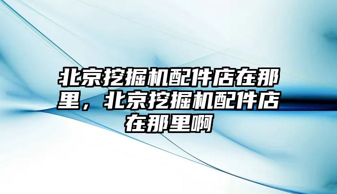 北京挖掘機配件店在那里，北京挖掘機配件店在那里啊