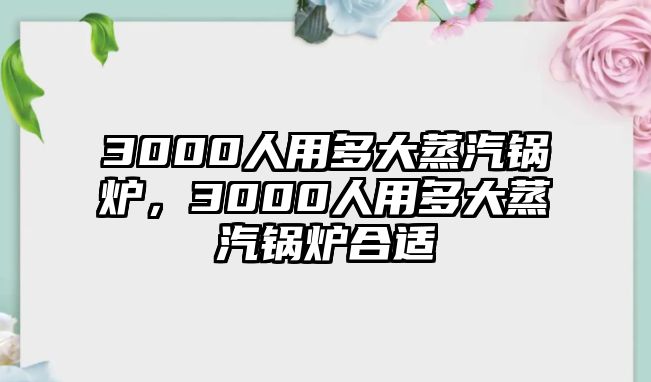 3000人用多大蒸汽鍋爐，3000人用多大蒸汽鍋爐合適