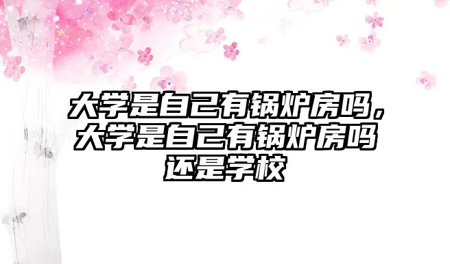 大學(xué)是自己有鍋爐房嗎，大學(xué)是自己有鍋爐房嗎還是學(xué)校