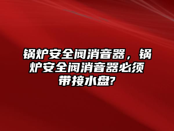 鍋爐安全閥消音器，鍋爐安全閥消音器必須帶接水盤?