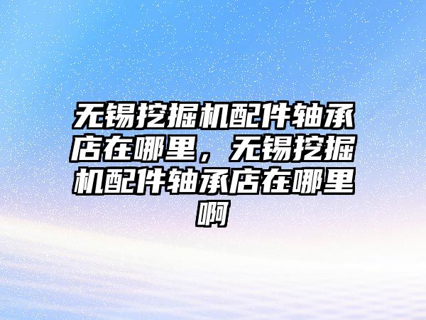 無錫挖掘機配件軸承店在哪里，無錫挖掘機配件軸承店在哪里啊