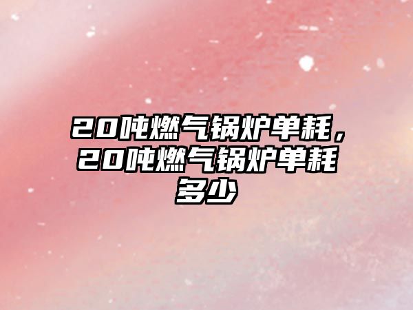 20噸燃?xì)忮仩t單耗，20噸燃?xì)忮仩t單耗多少