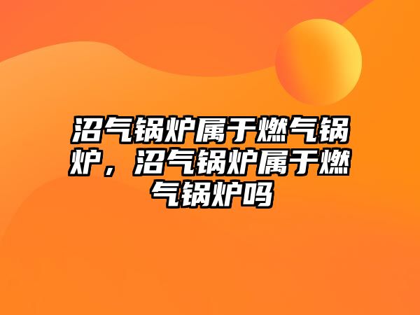 沼氣鍋爐屬于燃?xì)忮仩t，沼氣鍋爐屬于燃?xì)忮仩t嗎