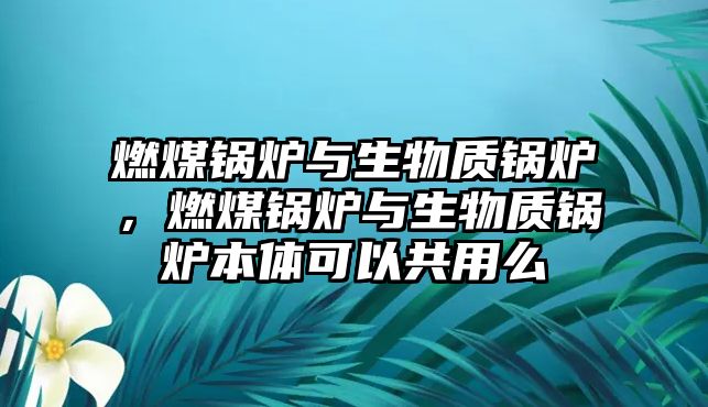 燃煤鍋爐與生物質(zhì)鍋爐，燃煤鍋爐與生物質(zhì)鍋爐本體可以共用么