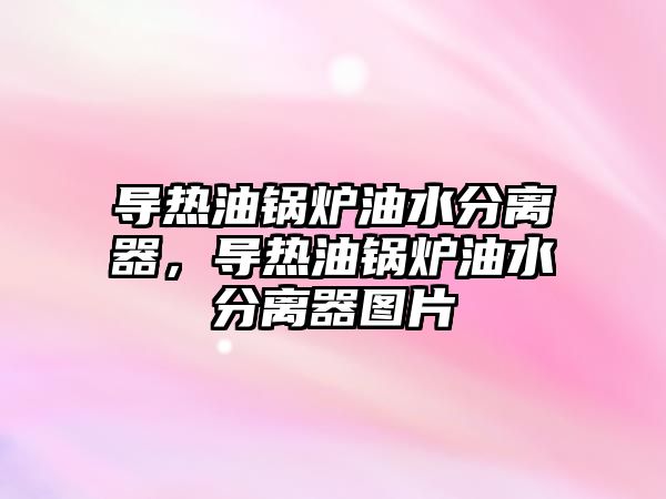 導熱油鍋爐油水分離器，導熱油鍋爐油水分離器圖片