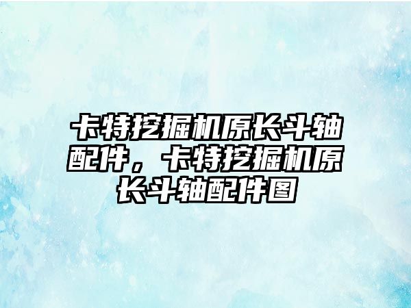 卡特挖掘機原長斗軸配件，卡特挖掘機原長斗軸配件圖