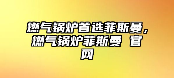 燃?xì)忮仩t首選菲斯曼，燃?xì)忮仩t菲斯曼 官網(wǎng)