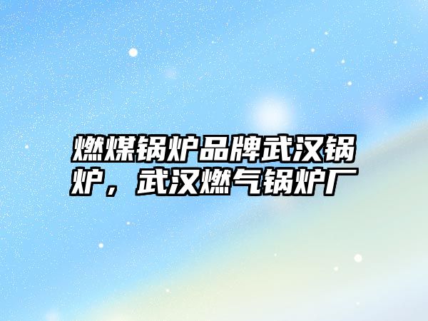 燃煤鍋爐品牌武漢鍋爐，武漢燃氣鍋爐廠