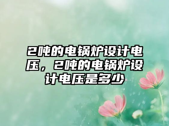 2噸的電鍋爐設(shè)計(jì)電壓，2噸的電鍋爐設(shè)計(jì)電壓是多少