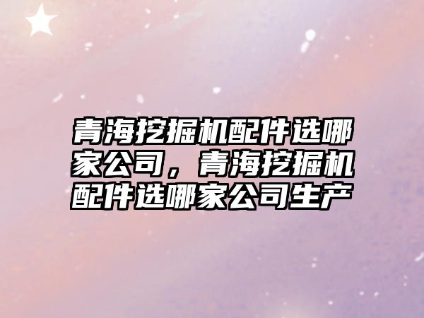 青海挖掘機配件選哪家公司，青海挖掘機配件選哪家公司生產