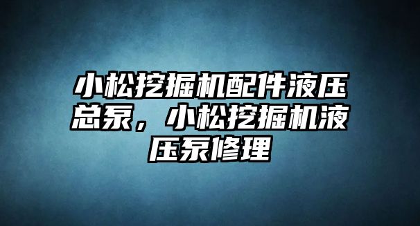 小松挖掘機配件液壓總泵，小松挖掘機液壓泵修理