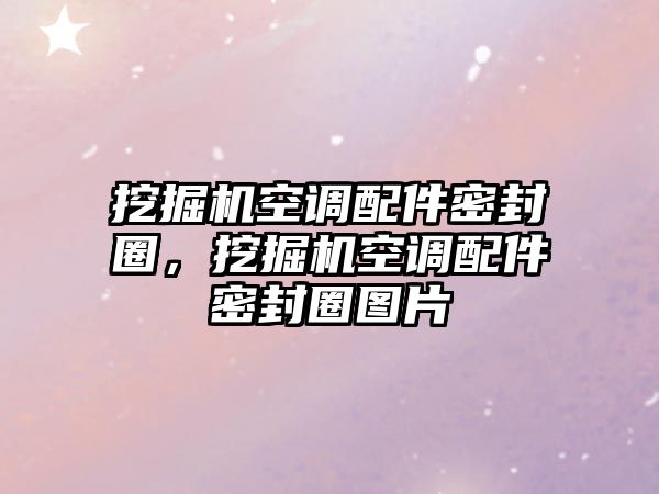 挖掘機(jī)空調(diào)配件密封圈，挖掘機(jī)空調(diào)配件密封圈圖片