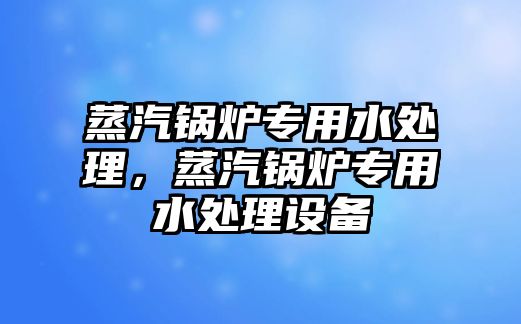 蒸汽鍋爐專用水處理，蒸汽鍋爐專用水處理設備