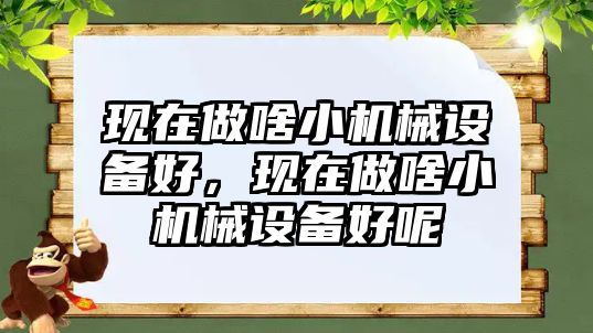 現(xiàn)在做啥小機(jī)械設(shè)備好，現(xiàn)在做啥小機(jī)械設(shè)備好呢