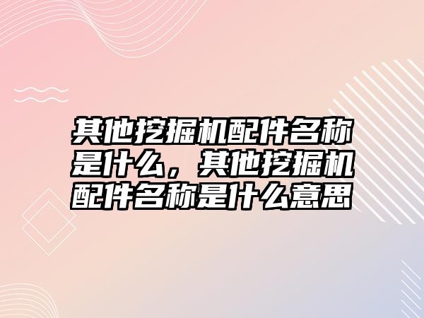 其他挖掘機配件名稱是什么，其他挖掘機配件名稱是什么意思