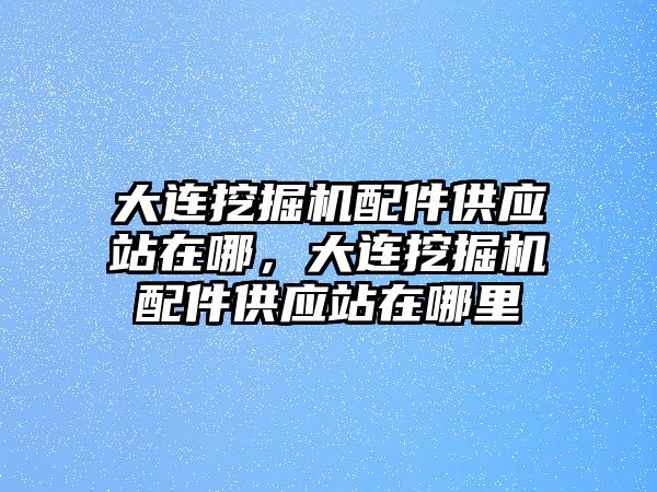 大連挖掘機配件供應(yīng)站在哪，大連挖掘機配件供應(yīng)站在哪里