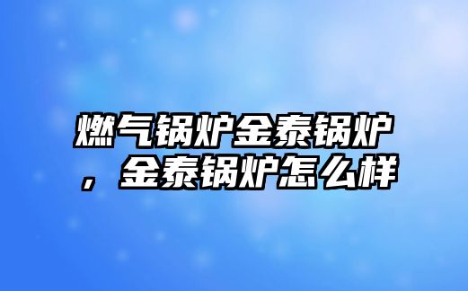 燃?xì)忮仩t金泰鍋爐，金泰鍋爐怎么樣