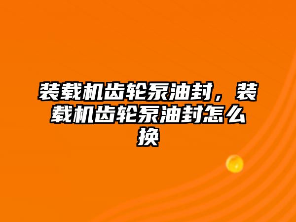 裝載機齒輪泵油封，裝載機齒輪泵油封怎么換