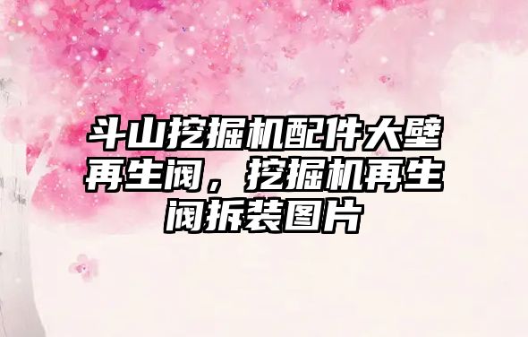 斗山挖掘機配件大壁再生閥，挖掘機再生閥拆裝圖片