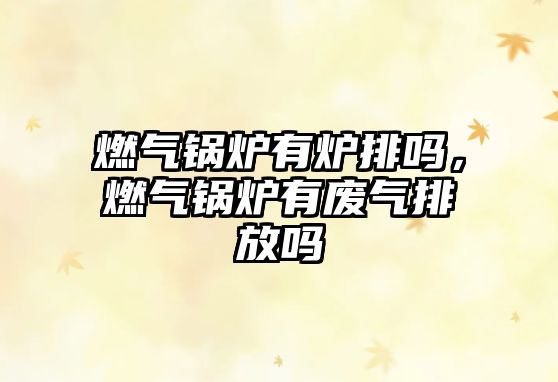 燃?xì)忮仩t有爐排嗎，燃?xì)忮仩t有廢氣排放嗎