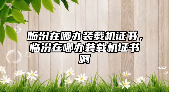 臨汾在哪辦裝載機證書，臨汾在哪辦裝載機證書啊