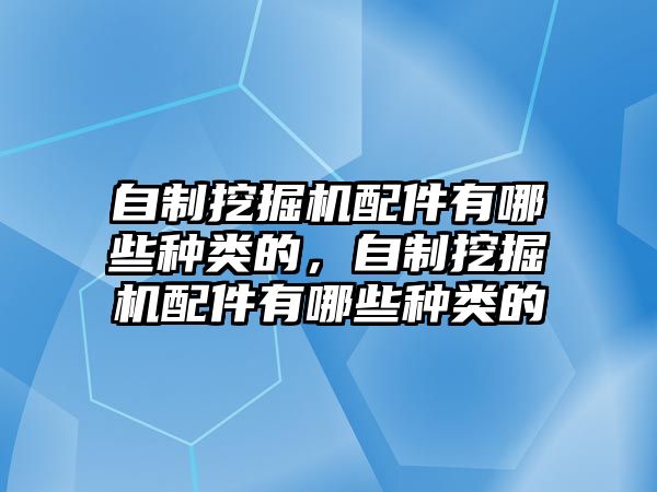 自制挖掘機(jī)配件有哪些種類的，自制挖掘機(jī)配件有哪些種類的