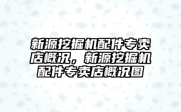 新源挖掘機配件專賣店概況，新源挖掘機配件專賣店概況圖