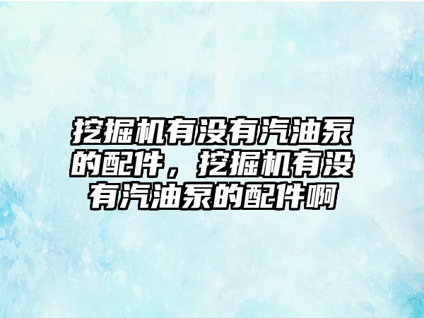 挖掘機(jī)有沒有汽油泵的配件，挖掘機(jī)有沒有汽油泵的配件啊