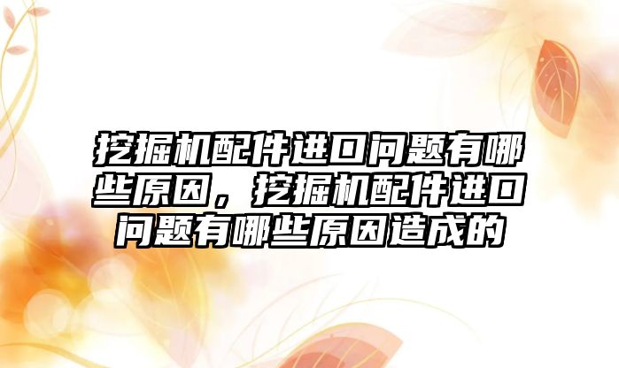 挖掘機配件進口問題有哪些原因，挖掘機配件進口問題有哪些原因造成的