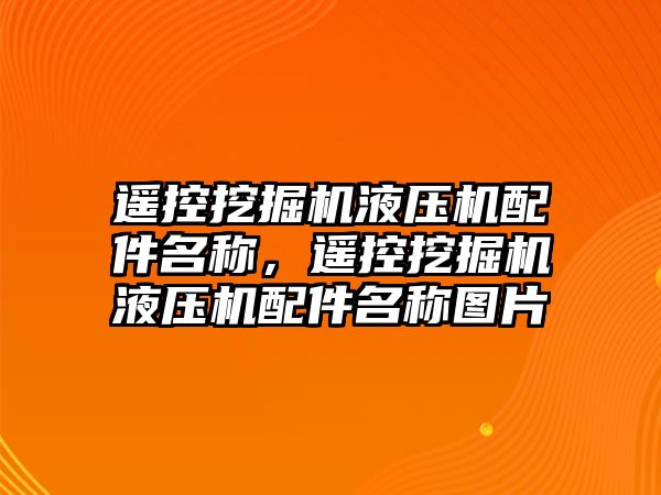 遙控挖掘機液壓機配件名稱，遙控挖掘機液壓機配件名稱圖片