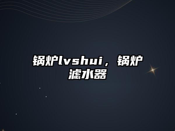 鍋爐lvshui，鍋爐濾水器