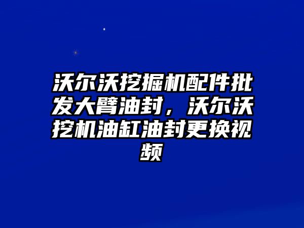 沃爾沃挖掘機配件批發(fā)大臂油封，沃爾沃挖機油缸油封更換視頻