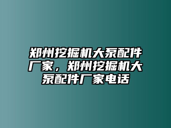 鄭州挖掘機大泵配件廠家，鄭州挖掘機大泵配件廠家電話